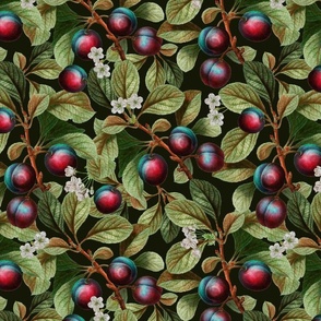 14" Nostalgic Plum Kitchen Wallpaper, Vintage Plums Fabric, Fall Home Decor, linen texture dark green
