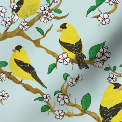 Gold Finches on Cherry Blossom
