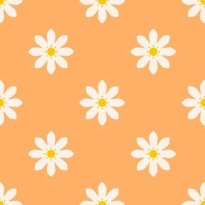 Citrus_Flowers_Orange_