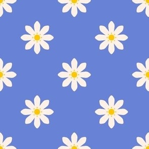 Citrus_Flowers_Blue