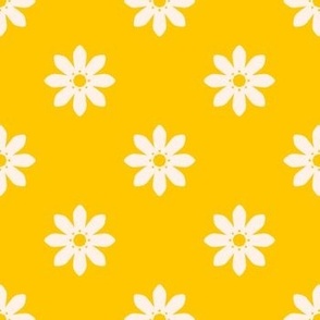 Citrus_Flowers_Yellow