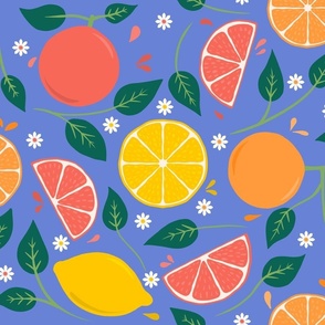 Citrus_Fruits_Blue