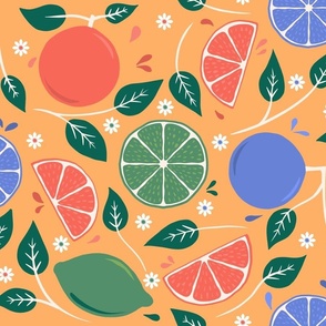 Citrus_Fruits_Orange_