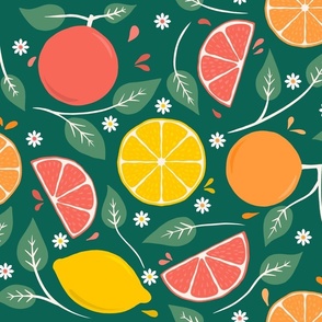Citrus_Fruits_Green