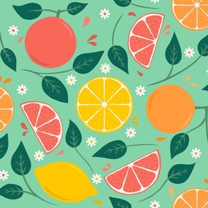 Citrus_Fruits_Teal