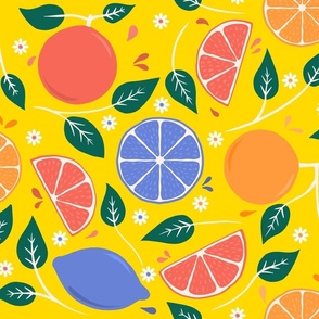 Citrus_Fruits_Yellow