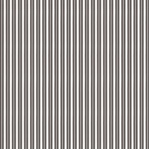 Tiny Ticking Stripe Chocolate