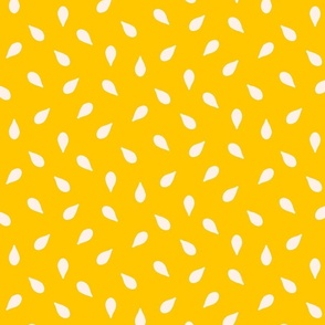 Citrus_Seeds_Yellow