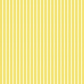 Tiny Ticking Stripe Bold Yellow