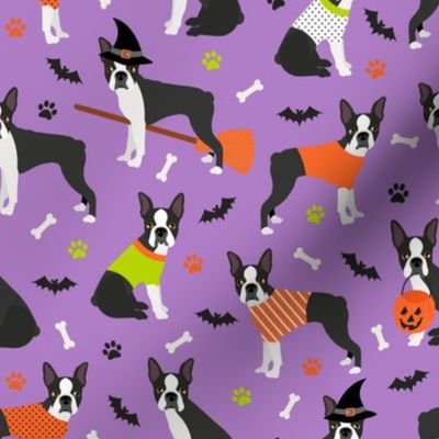 Boston Terrier Halloween Purple