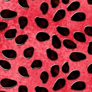 Watermelon Seeds Allover