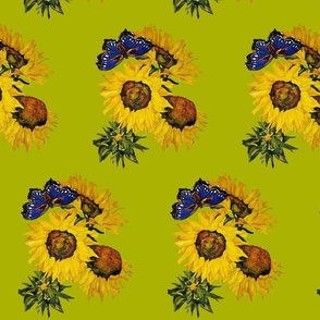 106a.  MINI  Blue Butterfly and Sunflowers on Olive Green