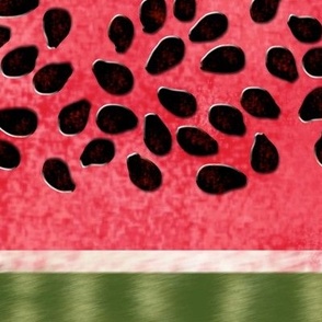 Watermelon Seed Stripe 2