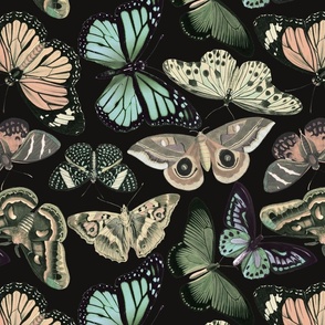 victorian butterlies _2