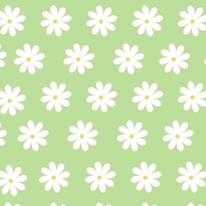 Green Daisy