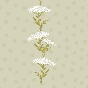 yarrow in lines on a light green