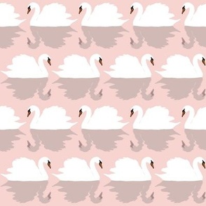 Swimming Swans on Ballet Pink by Brittanylane