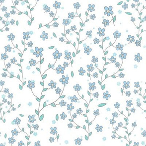 forget-me-nots on white