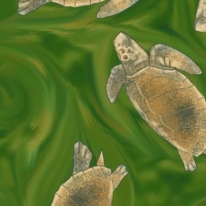 Loggerhead Sea Turtles Twirling on Green