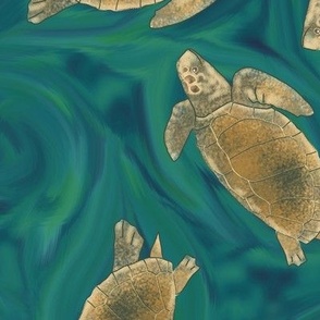 Loggerhead Sea Turtles Twirling on Turquoise