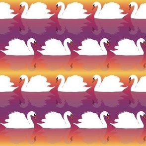 Swans Swimming on Sunset Ombré by Brittanylane
