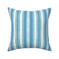 Light Blue Bold Stripes, Blue and White Vertical Stripes