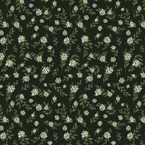 White Hoya Flowers on Dark Green Background