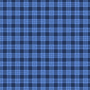 Blue and Black skinny tartan