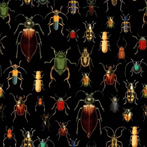 18" Vintage Beetles and Bugs on Black, nostalgic  home decor, antique wallpaper,