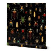 7" Vintage Beetles and Bugs on Black, nostalgic  home decor, antique wallpaper,