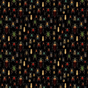 7" Vintage Beetles and Bugs on Black, nostalgic  home decor, antique wallpaper,