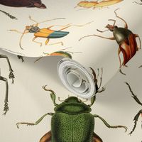 18" Vintage Beetles and Bugs on beige cream