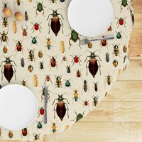 18" Vintage Beetles and Bugs on beige cream