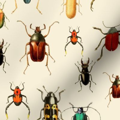 18" Vintage Beetles and Bugs on beige cream