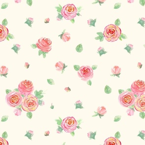 Delicate pink watercolor roses