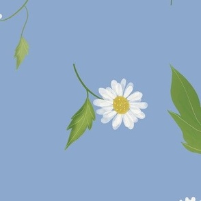 Floral pattern of white chamomile daisy flowers with blue background 
