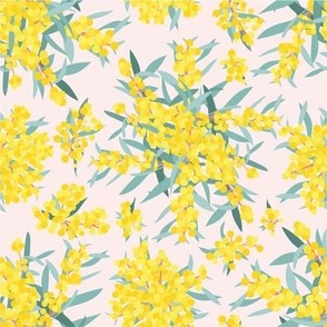 Mimi - Australian Wattle Design (Blush Background