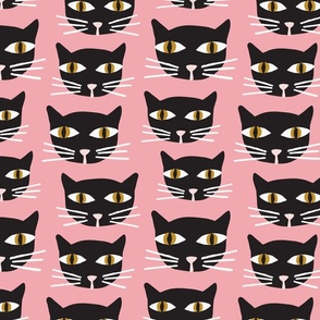   Black Cats | Md Bubblegum Pink