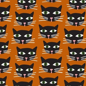 Black Cat | Md Dark Orange
