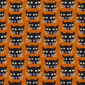 Black Cat | Sm Dark Orange