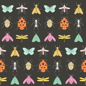 Pretty insects