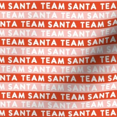 team santa - pink & boho red - LAD22