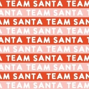 team santa - pink & boho red - LAD22