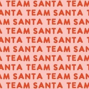 team santa - pink - LAD22