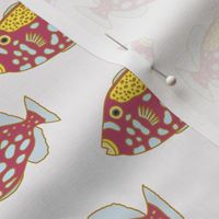 Colourful fishes pattern
