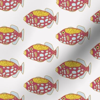 Colourful fishes pattern