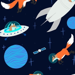 Foxes, rockets, stars and space exploration 