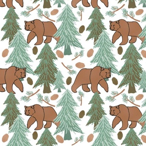 Pacific Northwest Bears in White