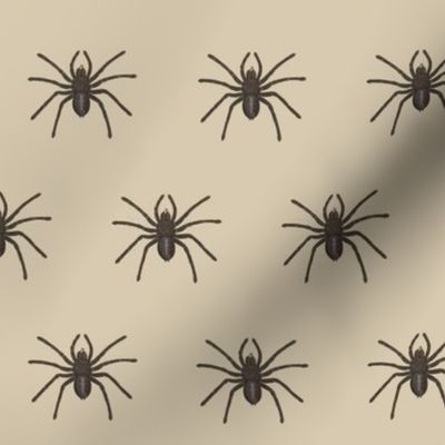 Vintage Spider Illustration - Beige