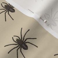 Vintage Spider Illustration - Beige